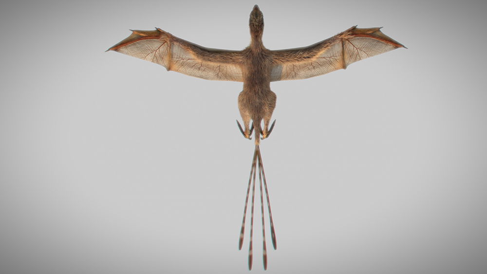 Bat-Wing Dinosaur