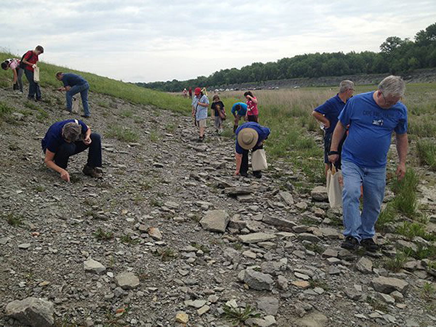 Fossil Hunt Field Exploration