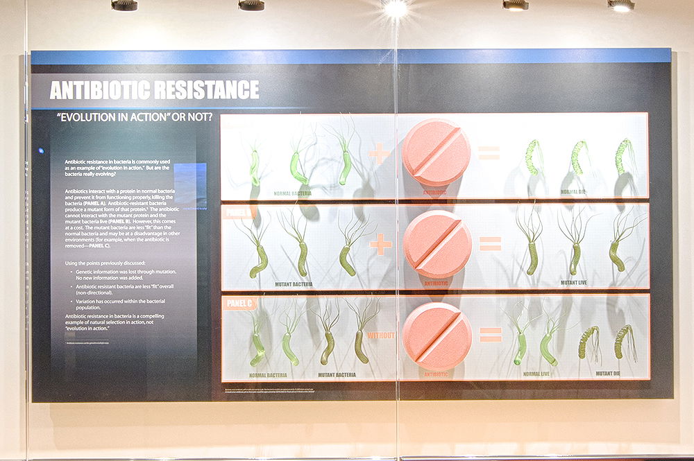 Bacterial Resistance