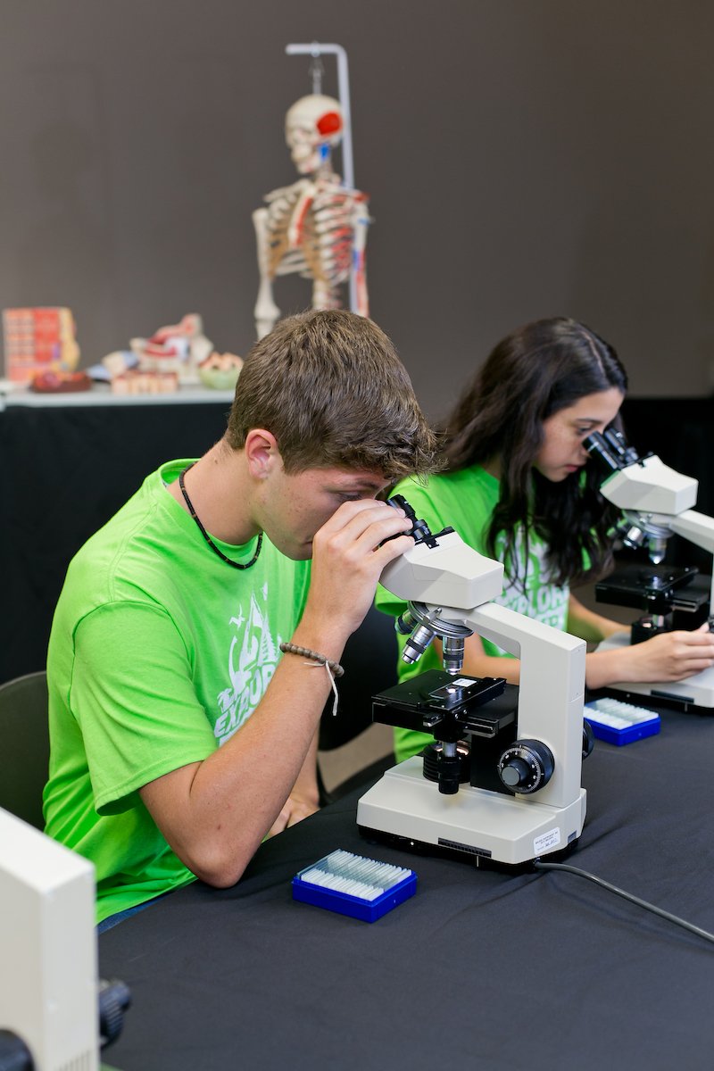 Students looking in microscopes