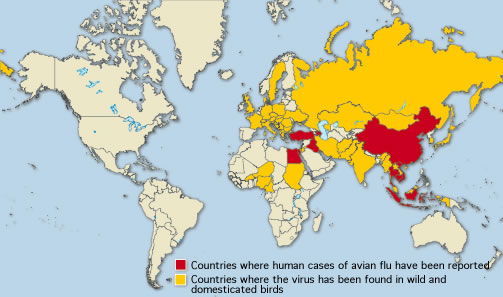 Map of countries in which bird flu has been detected