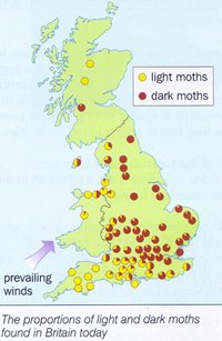 The proportions of light and dark moths found in Britain today