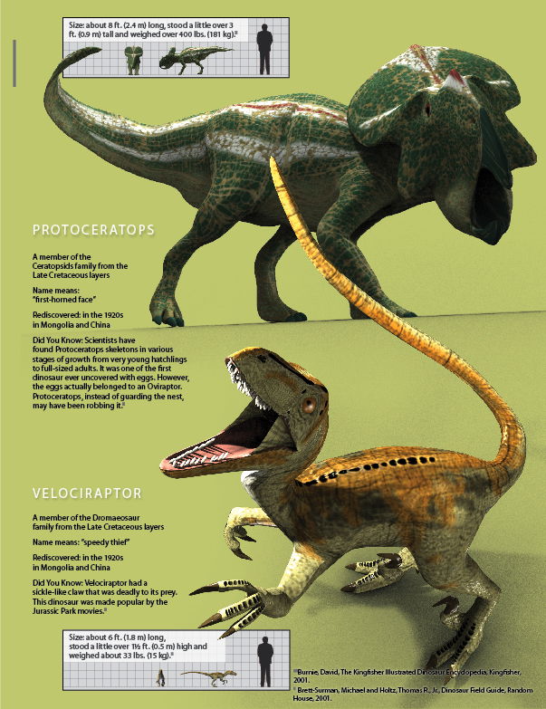 Protoceratops and Velociraptor