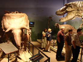 Staff members tour the Dinosaur Den.