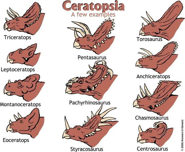 Cerotopsia