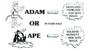 Adam Ape