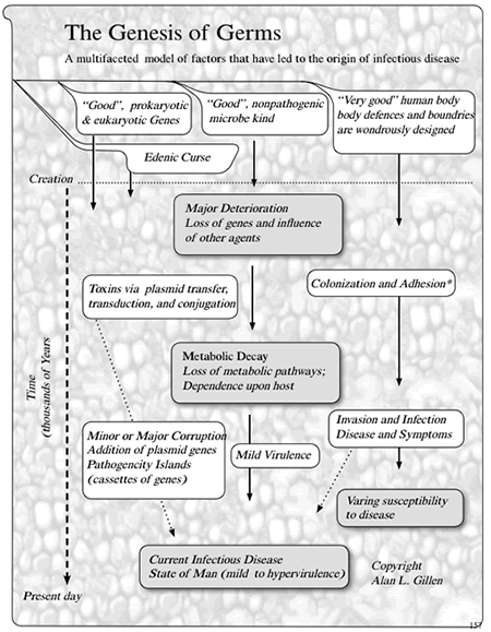 Figure 3. A Multifaceted Model for the Genesis of Germs, Figure 9.1 (see p. 157, <i>The Genesis of Germs</i>)