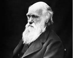 Why Orthodox Darwinism Demands Atheism