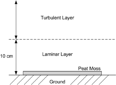 Laminar and turbulent flow regions