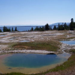 Numerical Simulation of Precipitation in Yellowstone National Park with a Warm Ocean: Continuous Zonal Flow, Gulf of Alaska Low, and Plunging Western Low Case Studies