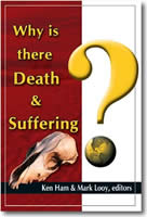 Why Does God Allow Suffering and Death?