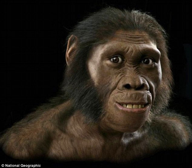 Paranthropus: How did this bizarre, ape-like early hominin survive