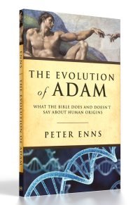The Evolution of Adam
