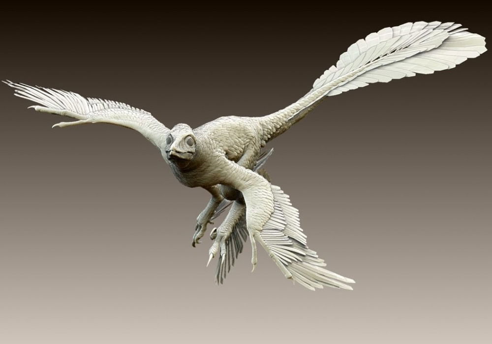 velociraptor with wings 3d