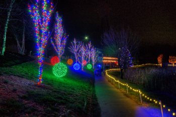 Lights on the Path