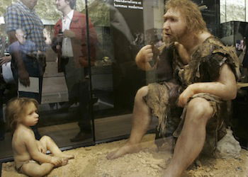 neanderthal museum scene