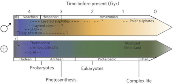 timeline