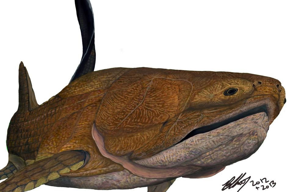 Entelognathus artist’s reconstruction