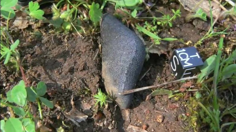 Sutter’s Mill Meteorite Found