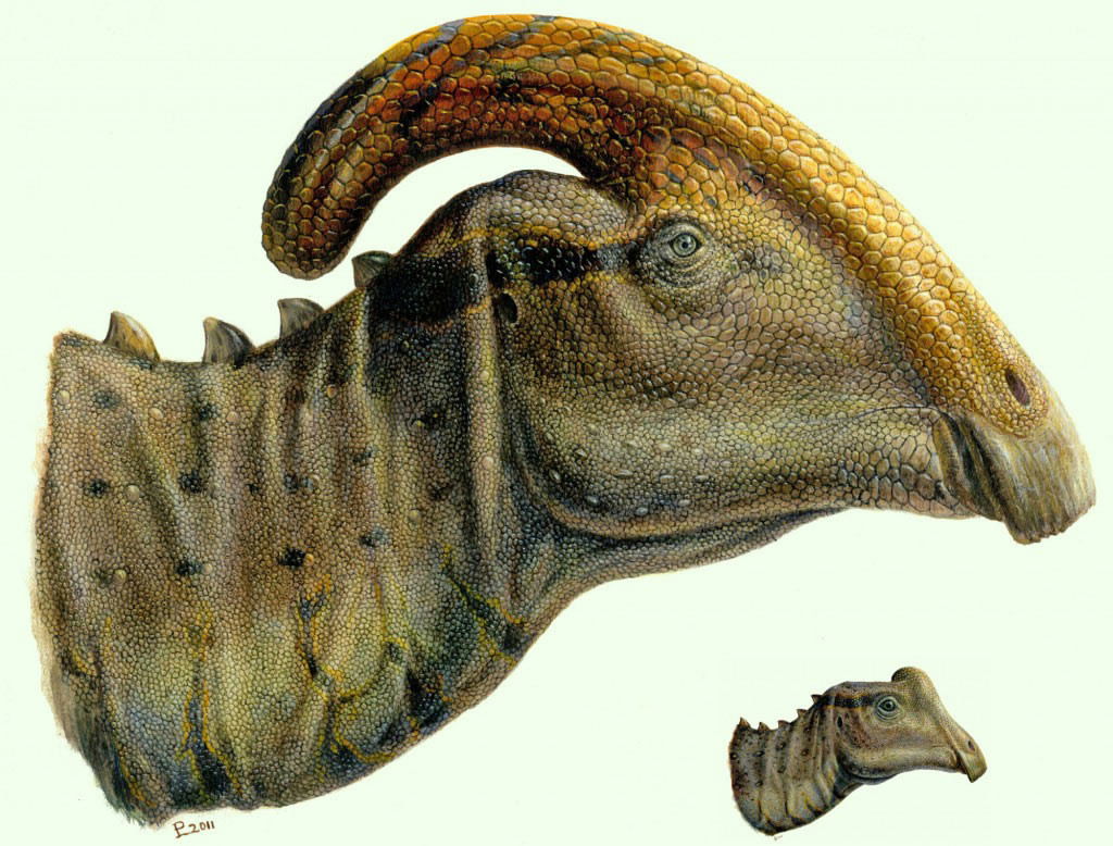 two legged dinosaur with crests on head