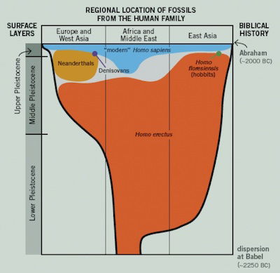 neanderthal chart 3