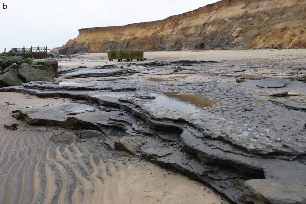 Hhappisburgh