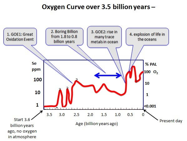 Oxygenation events