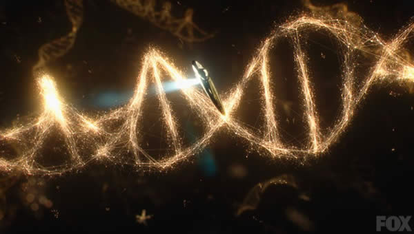 DNA