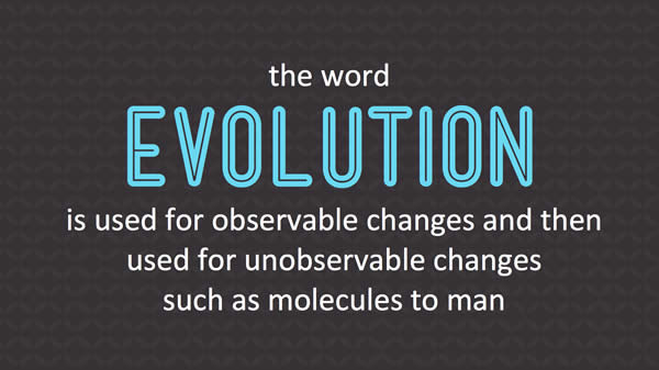 Two Uses of the Term Evolution