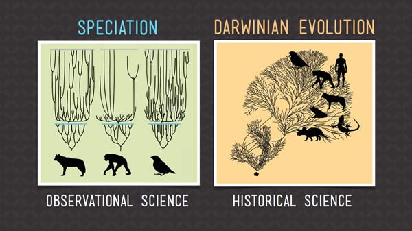 Speciation vs. Darwinian Evolution