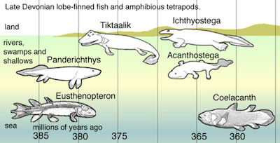 Devonian