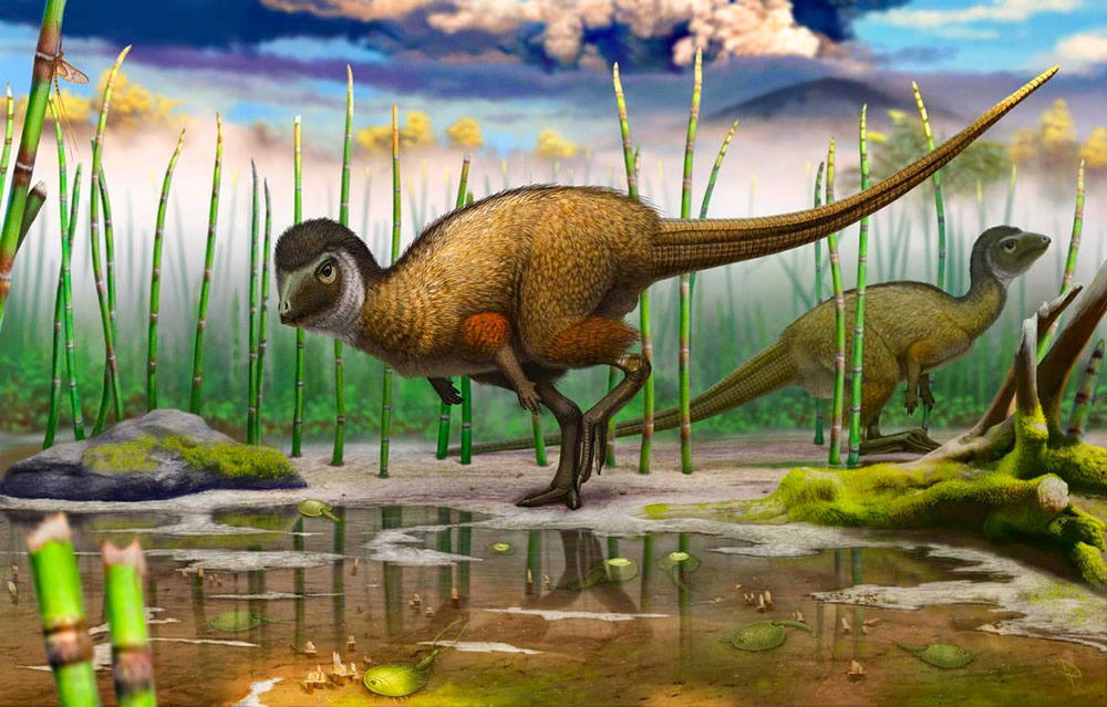 Kulindadromeus