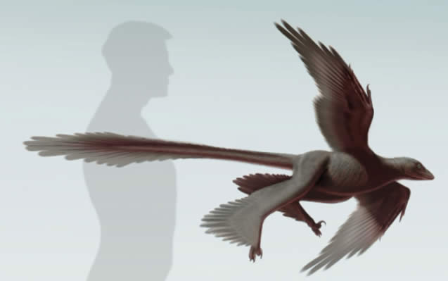 Microraptor