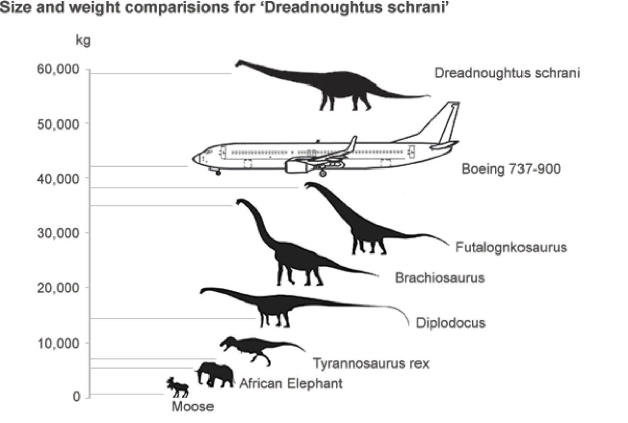 dino chart