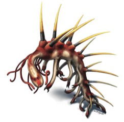 Hallucigenia