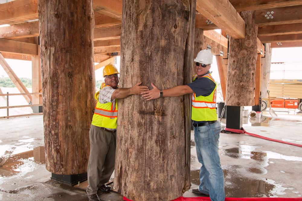 Arms Around a Column