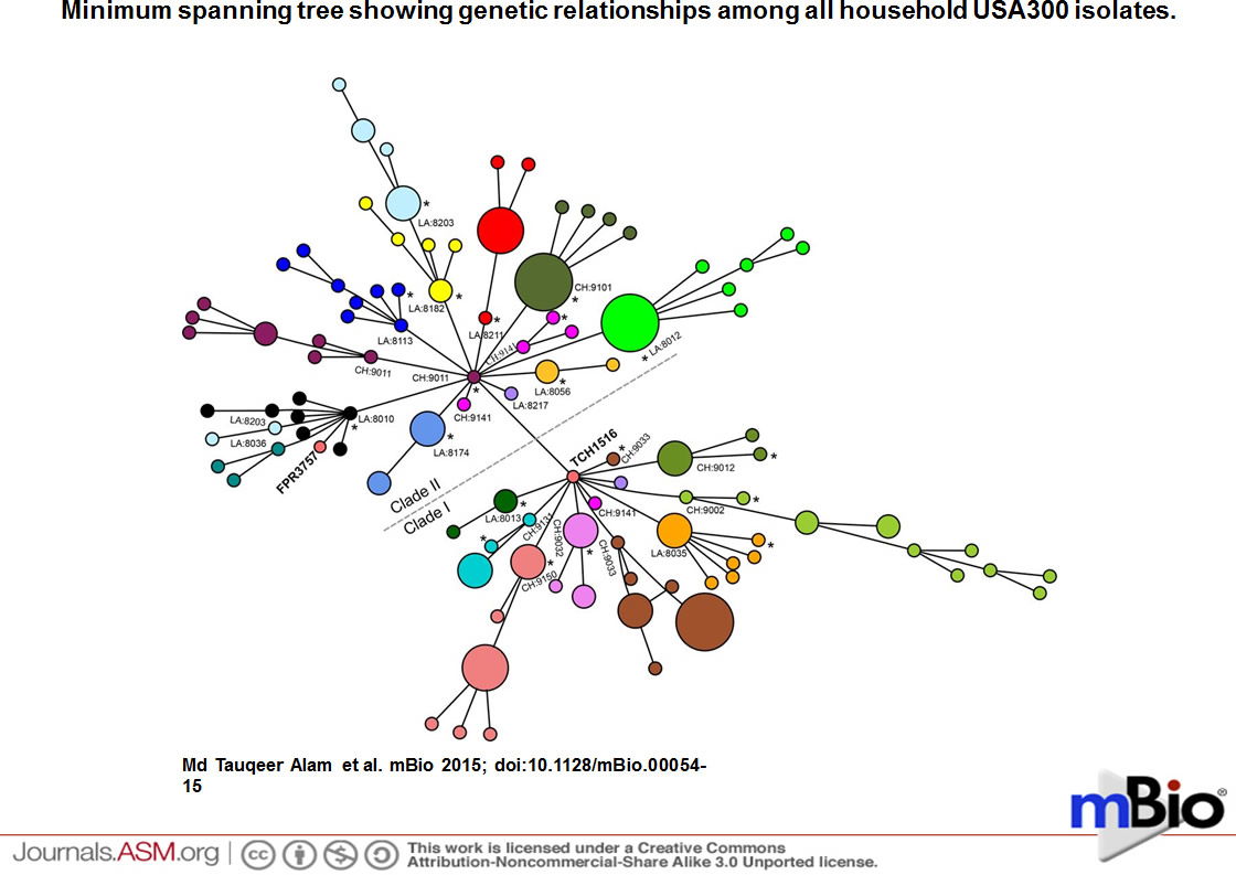 Evolutionary Tree for CA-MRSA