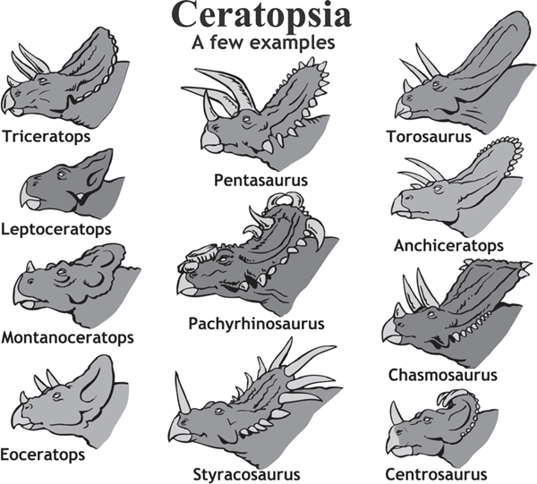 Ceratopsian Kind