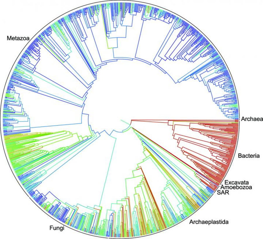 Open Tree of Life