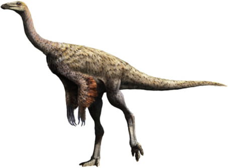 Ornithomimus