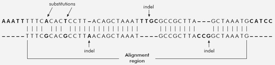 Alignment Region