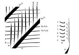 Hook and Ridge System