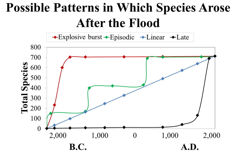 Possible Patterns Species Arose