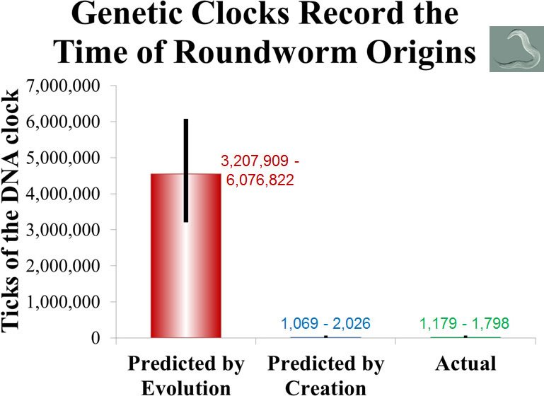Genetic Clocks Record the Time of Roundworm Origins
