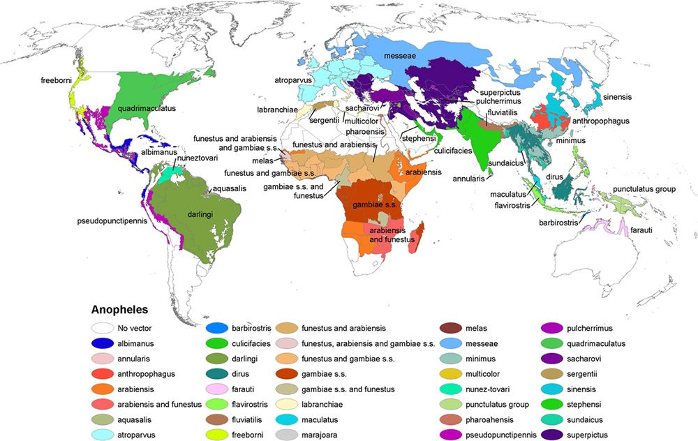 Anopheles Mosquito Range Map
