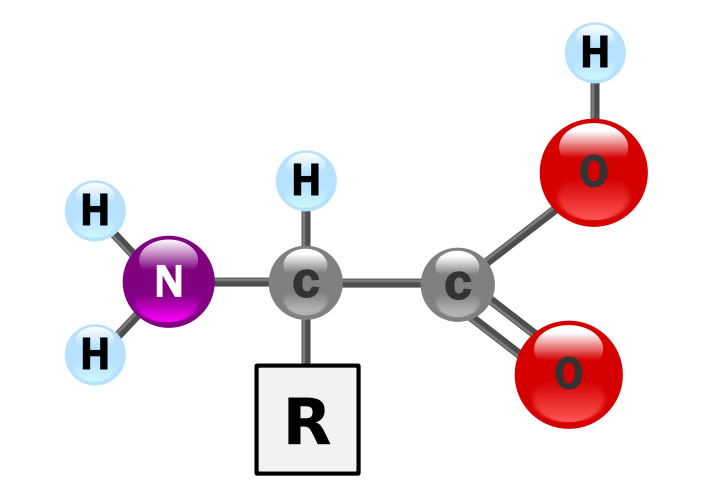 Amino Acid Ball