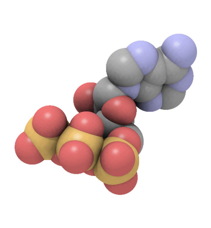 A Molecule of ATP