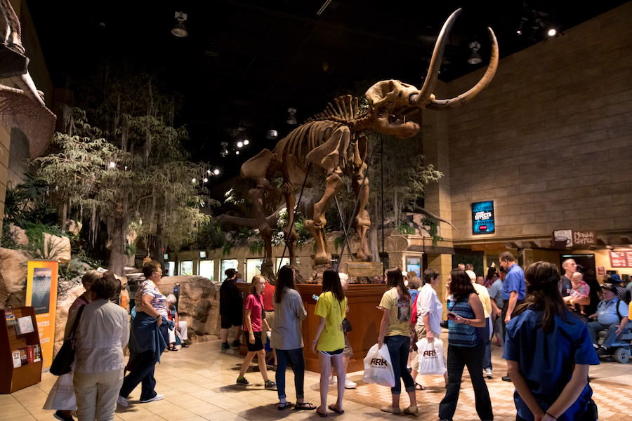 Mastodon Casting in Main Hall of the Creation Museum