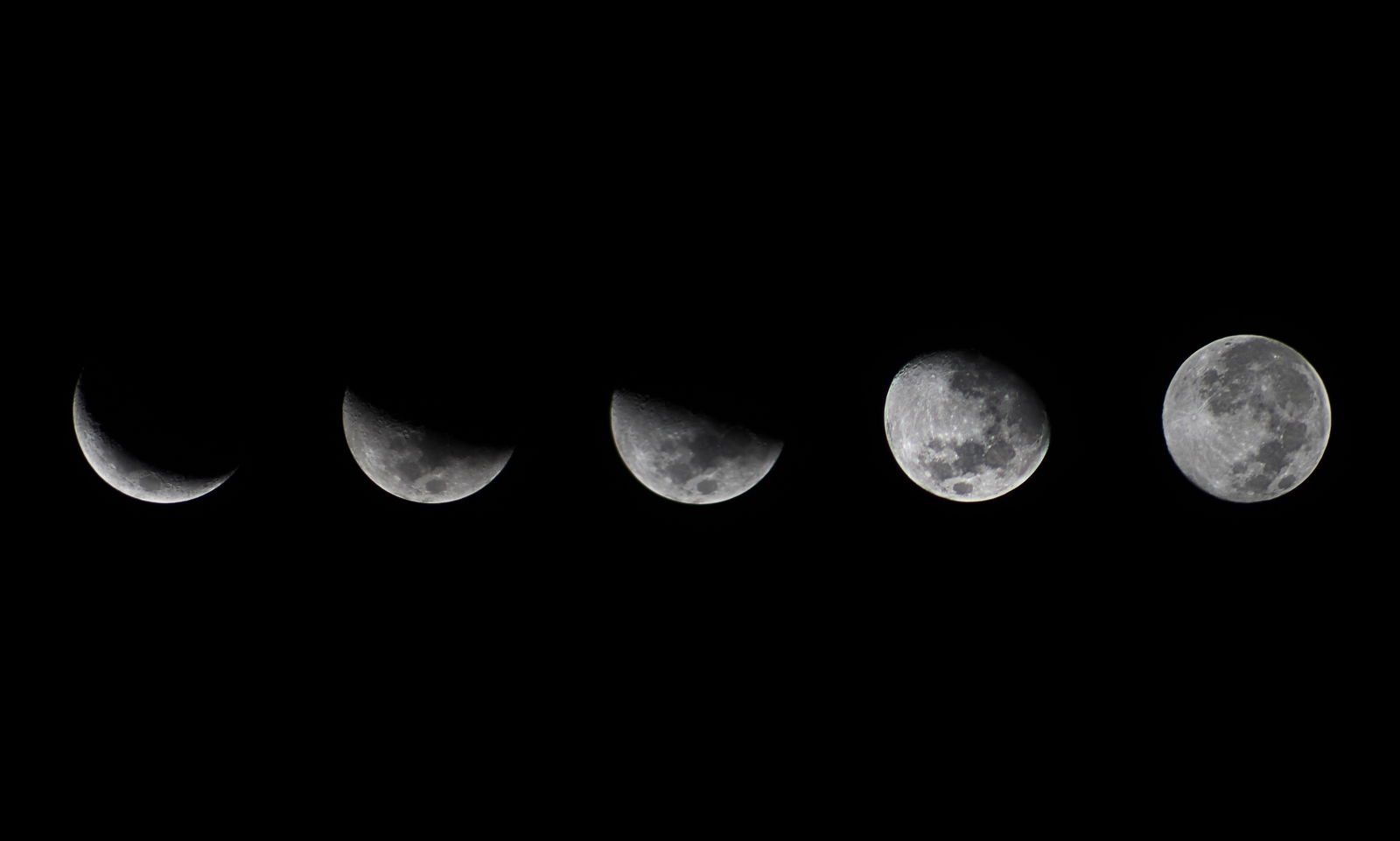 Moon Phases