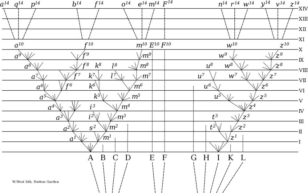 Diagram of Divergence of Taxa